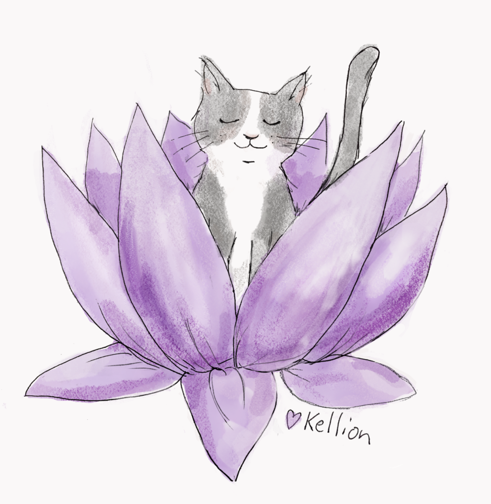 gray cat sits in purple lotus flower with his eyes closed. 